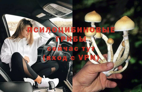 Альфа ПВП Абдулино
