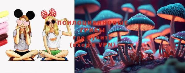 винт Саяногорск