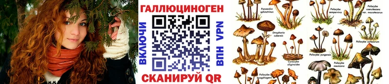 купить закладку  Бавлы  Галлюциногенные грибы Psilocybine cubensis 